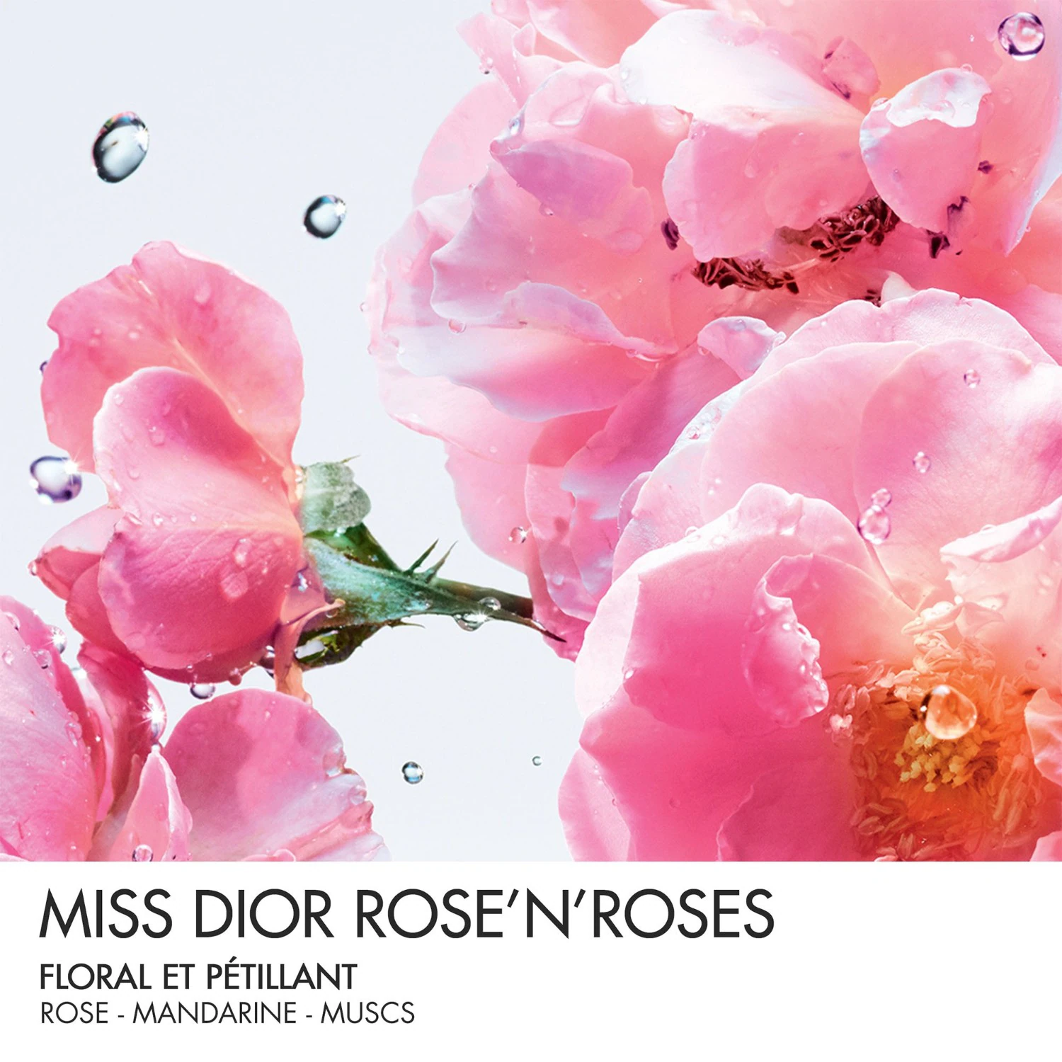 DIOR Rose N'Roses roller-pearl - Notes fleuries et fraîches