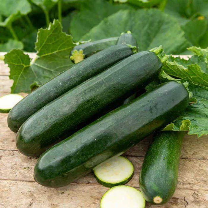 Graines - Vilmorin - Courgette Verte Noire Maraîchère