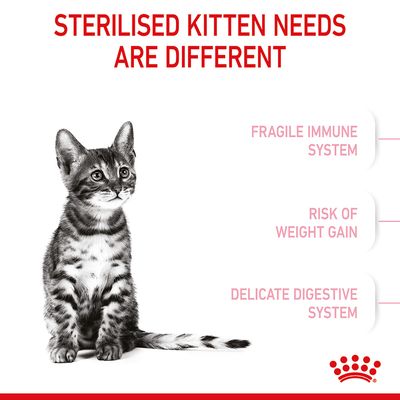Royal Canin para gatinhos esterilizados