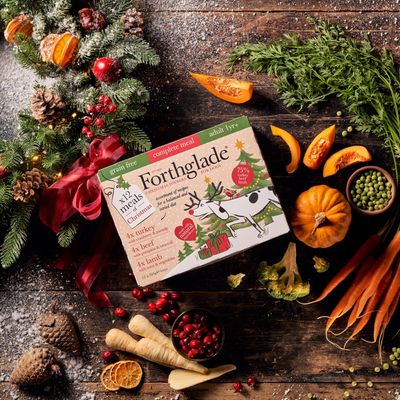 Forthglade Complete Meal Grain-Free Adult Dog - Confezione assortita natalizia