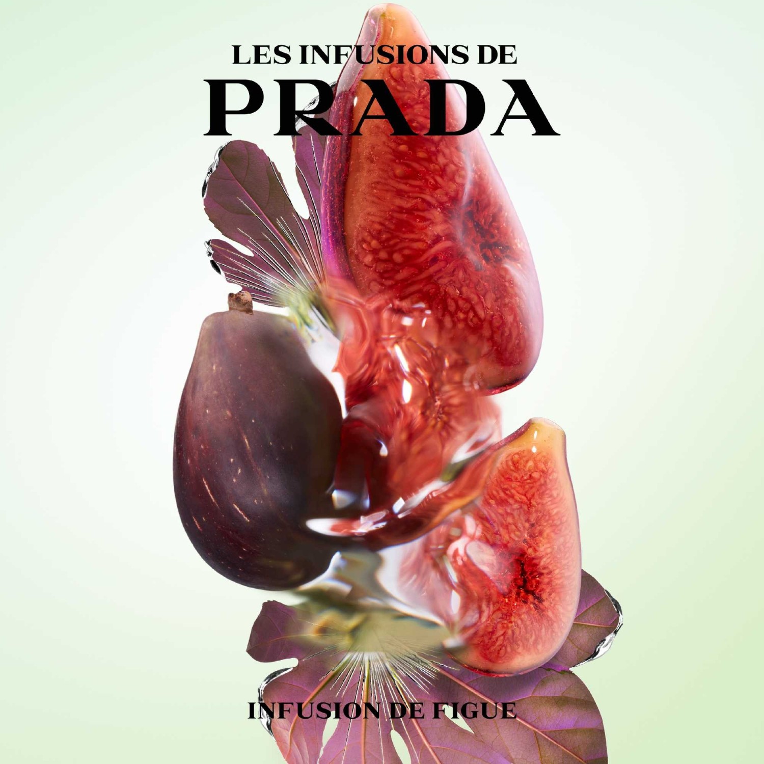 Prada Infusion de Figue