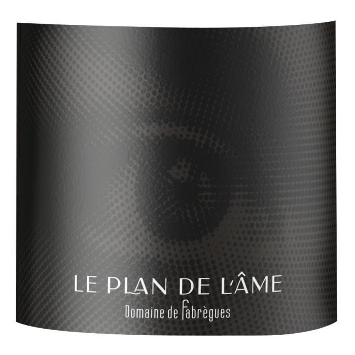 Domaine de Fabrègues Le Plan de l'Âme 2022 Languedoc - Vino Tinto Languedoc