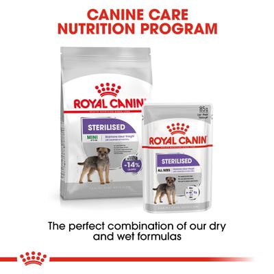 Royal Canin Mini sterilizzato