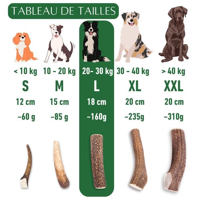 Ganzes Hirschgeweih zum Kauen für Hunde, Größe L, Leckerli für Welpen und Hunde jeden Alters, Kauspielzeug, 1 Stück