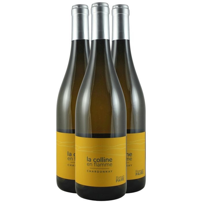 Domaine des Pothiers Côte Roannaise Colline en Flamme 2023 - Vin Blanc du Val de Loire (3x75cl) BIO