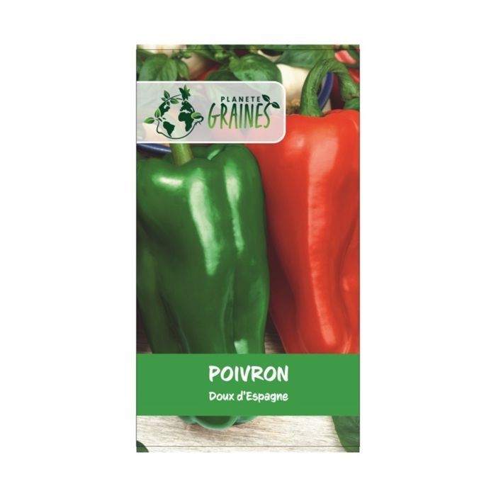 150 semillas de pimiento dulce España - Capsicum annuum -