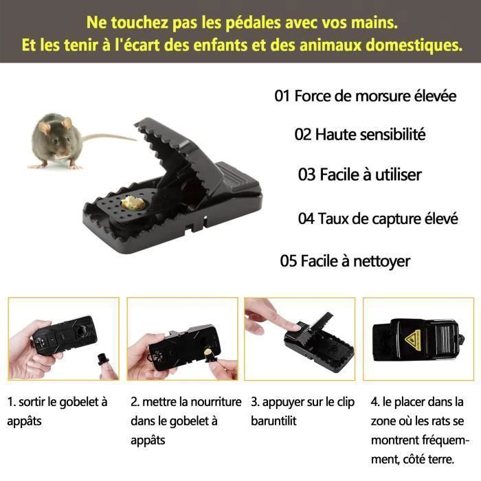 Conjunto de 8 ratoeiras reutilizáveis com compartimento para isca, ideais para cozinhas, jardins e galpões.