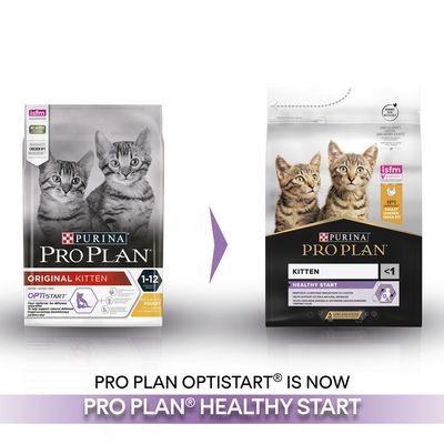 PURINA PRO PLAN Kitten Gesunder Start - Reich an Hühnchen