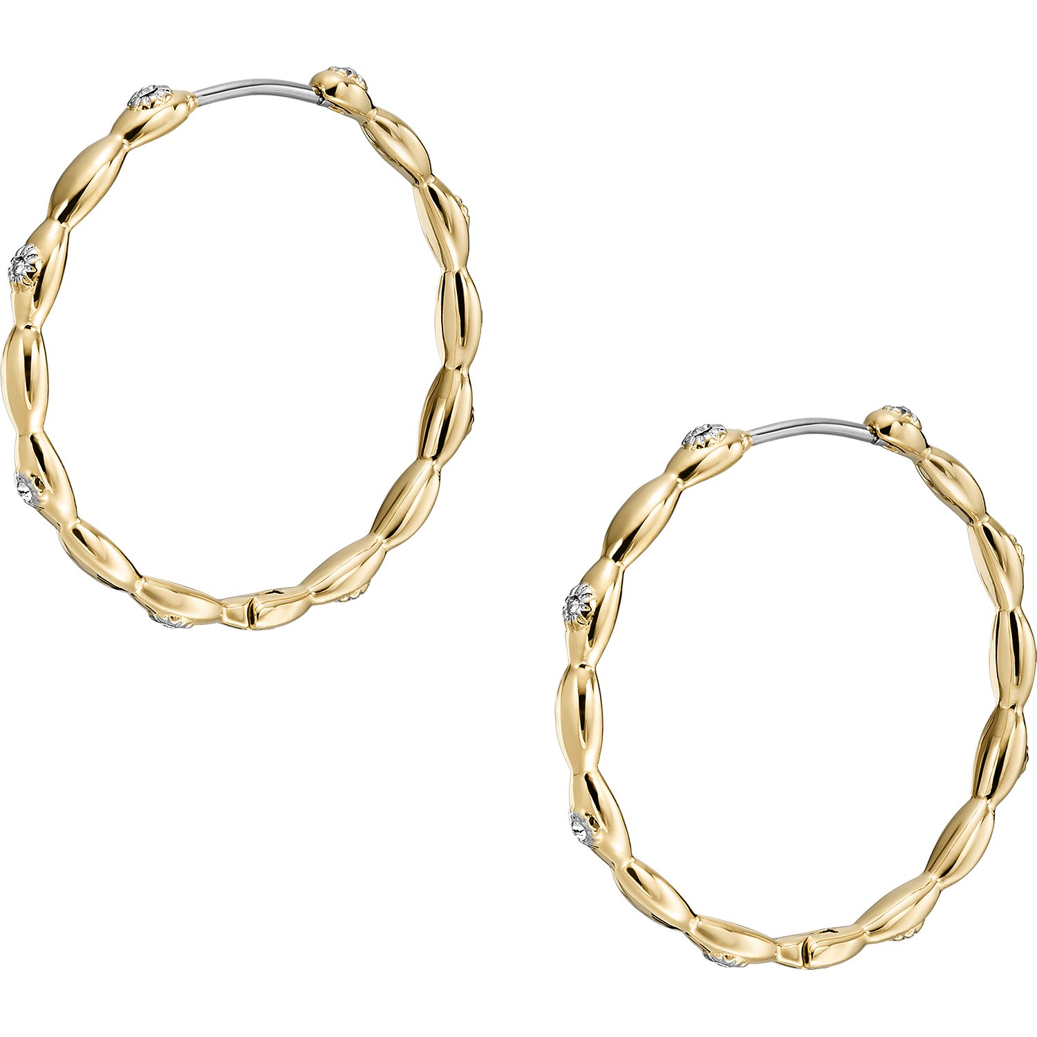 Fossil Boucles d'oreilles or