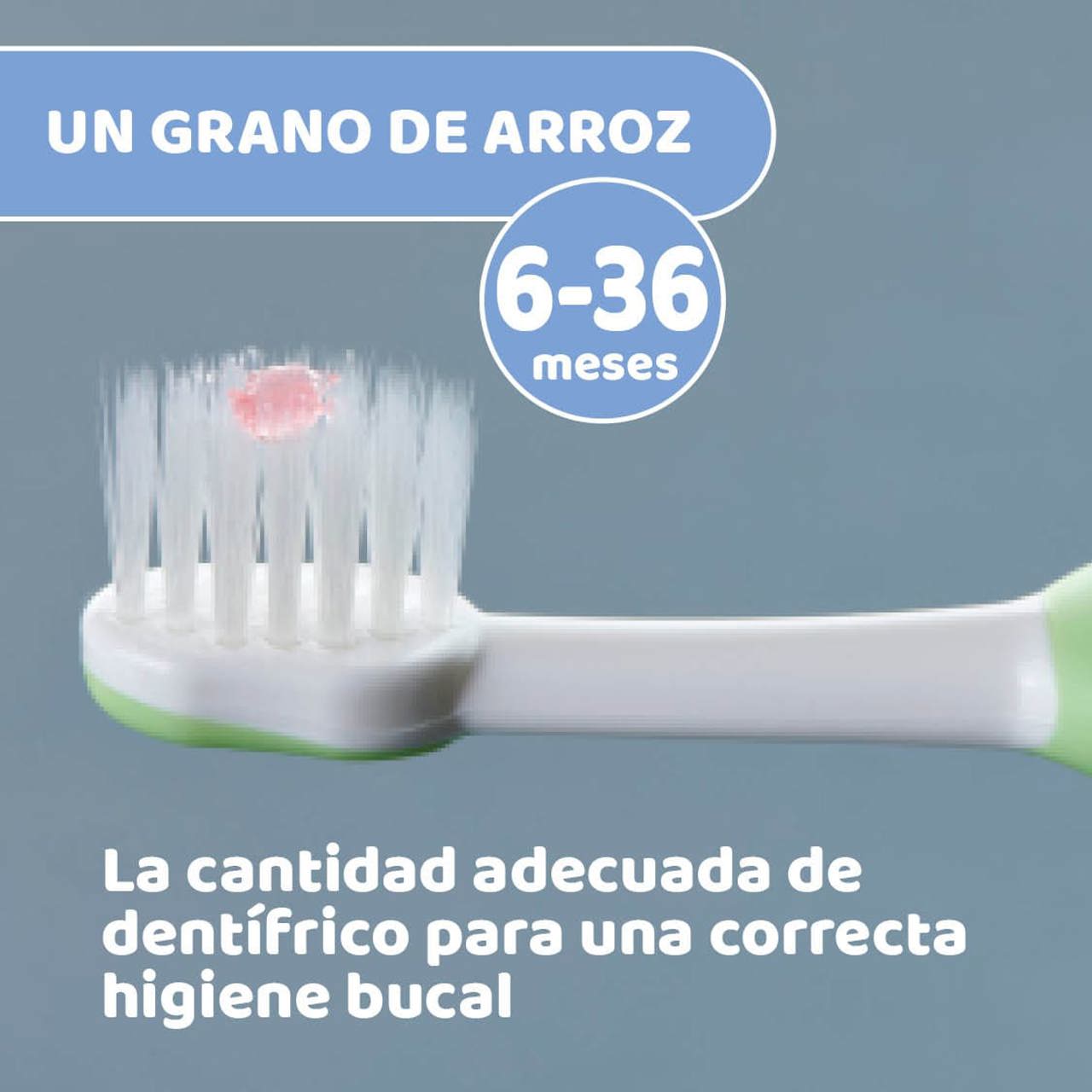 Periuță de dinți cu peri moi, 6 luni+