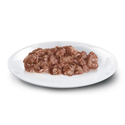 Concept for Life Britisch Kurzhaar Adult - in Ragout