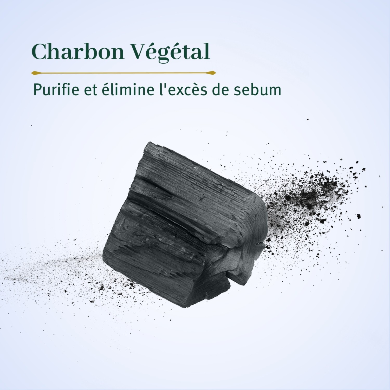 Le Petit Olivier Nettoyant Purifiant Visage Solide Charbon Végétal