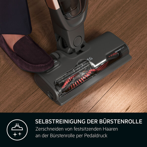 Akkustaubsauger AS62A252XN