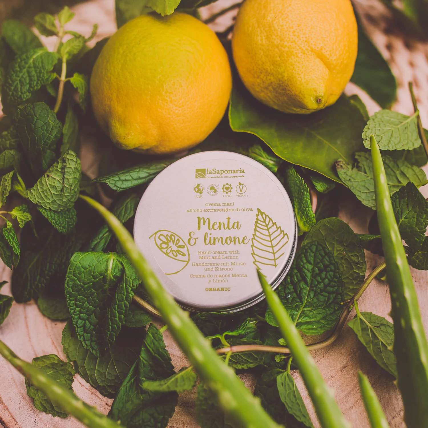 Mani Crema mani menta e limone - Tratt.mani Antietà Antimacchie