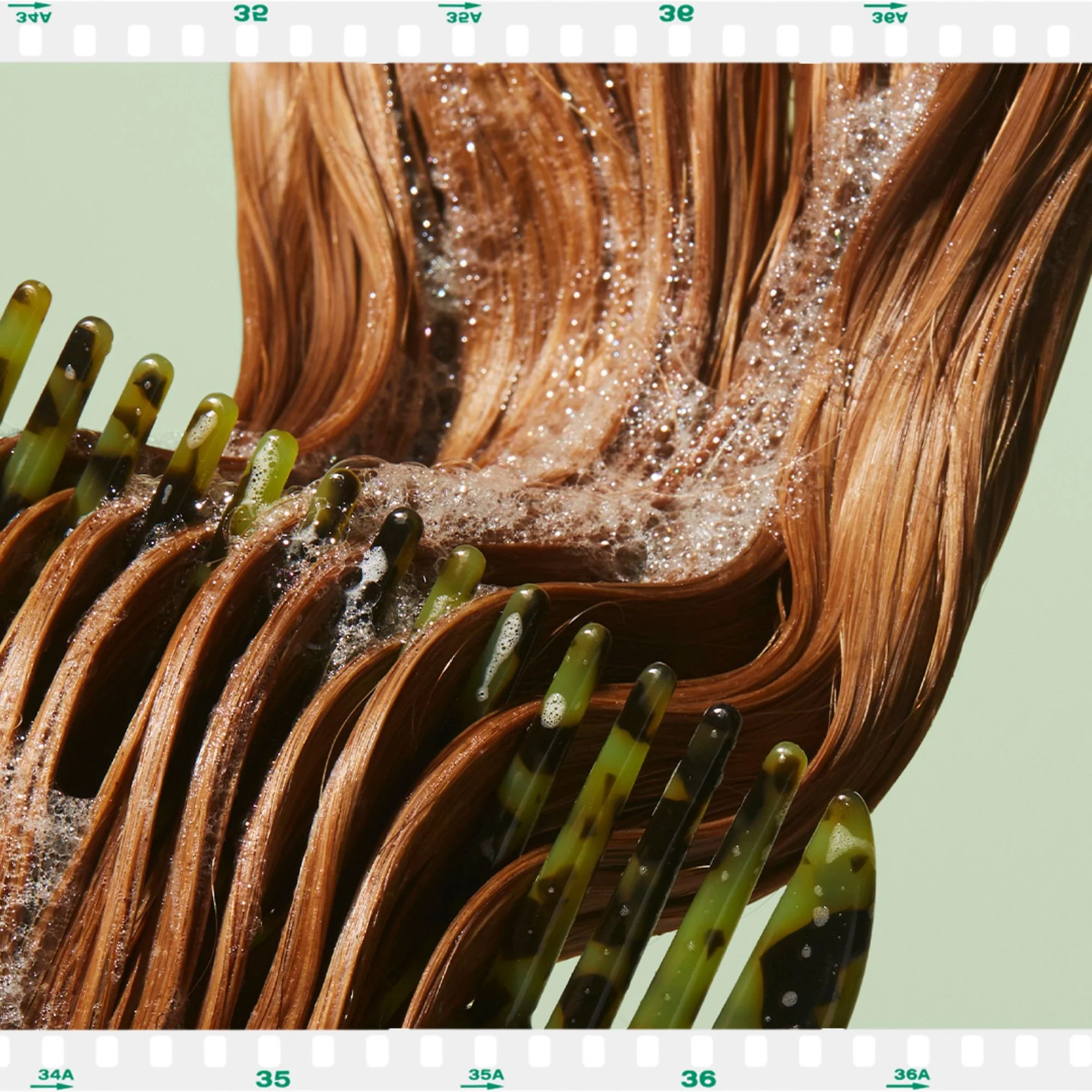 Seaweed Shampoo - Shampoo Delicato, Shampoo Uso Frequente