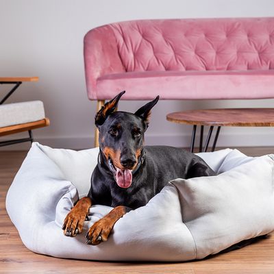 Cuccia per cani Modern Living Alexandria