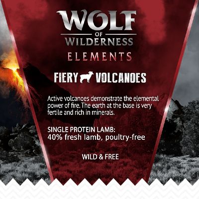 Loup des Terres Sauvages Adulte « Volcans Ardents » - Agneau