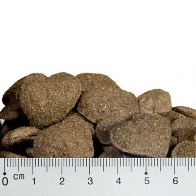 Briantos FitBites – jagnięcina z ziemniakami i jabłkami