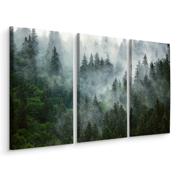 Obraz 3-Częściowy Las We Mgle 3D 60x40cm