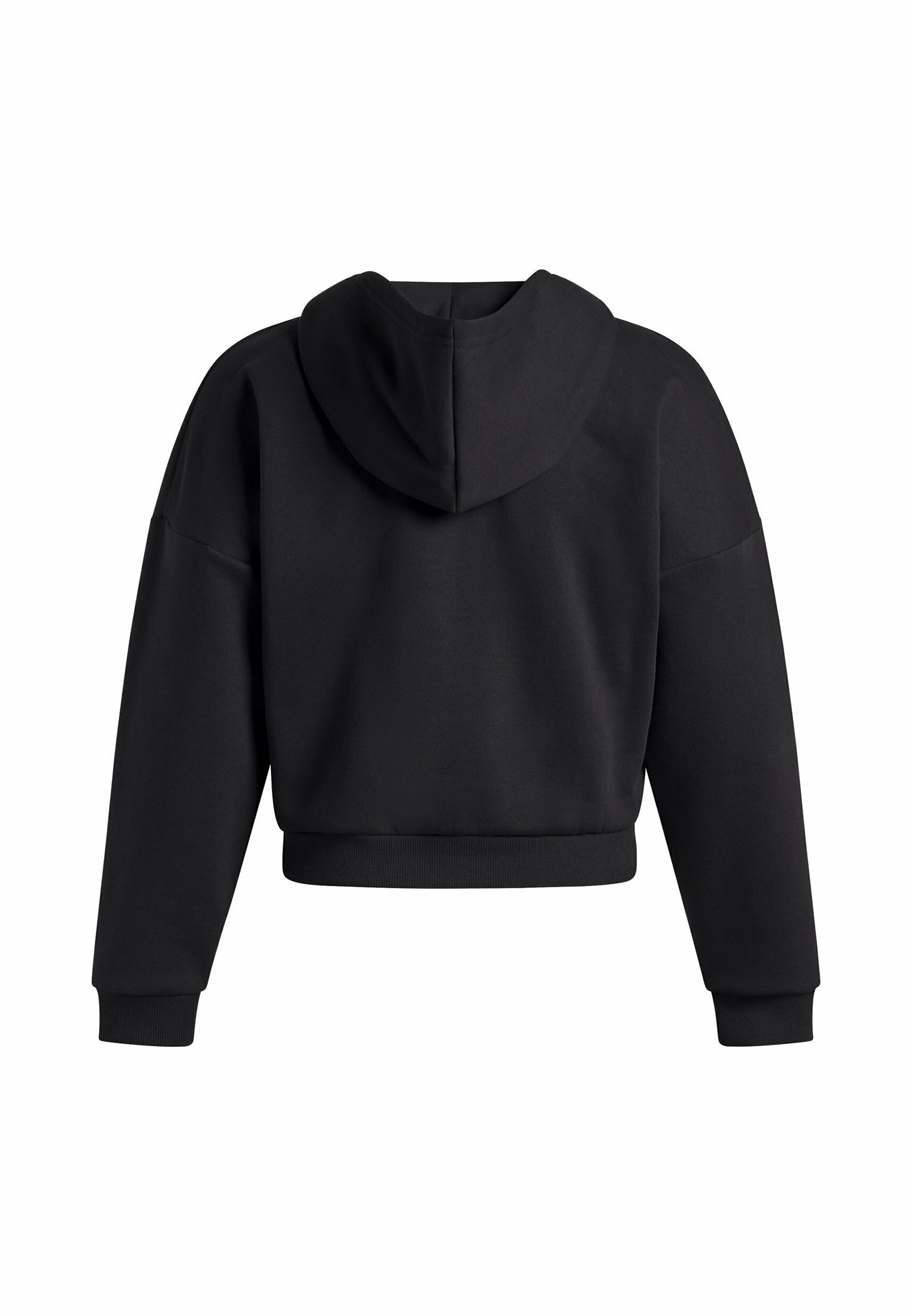 Under Armour RIVAL FLEECE BIES - Hoodie - zwart
