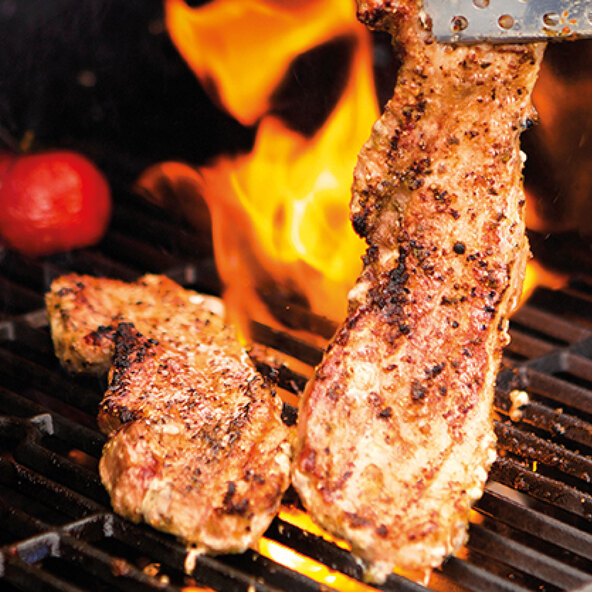 Gas grill REXON 3.1 CooK