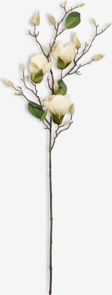 DIDRIK Dirbtinė gėlė DIDRIK magnolija, aukštis 85 cm