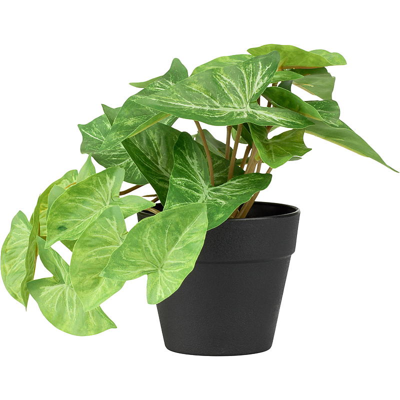 Home Green plant 17 cm kunstmatige Taro/Alocasia