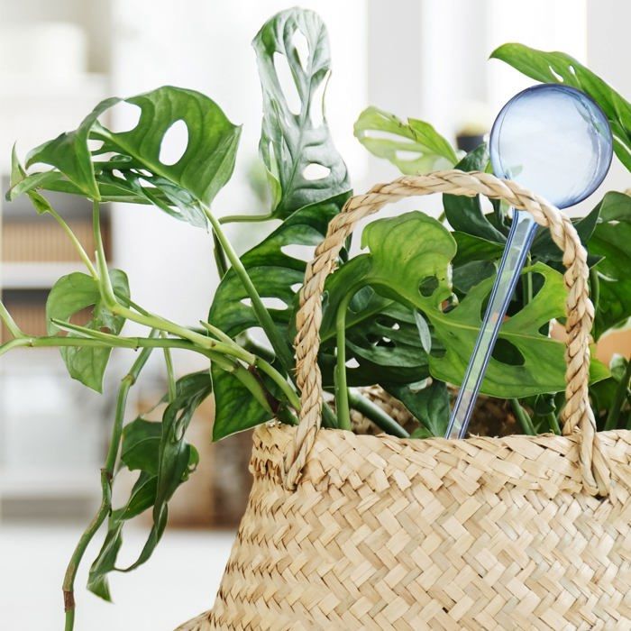 Globos de riego de plástico, juego de 4 – riego automático para plantas hasta por 2 semanas, color azul