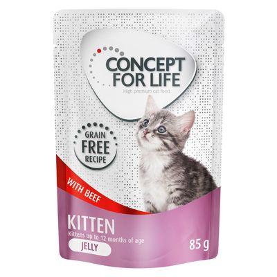 Concept for Life Kitten Rindfleisch getreidefrei - in Gelee