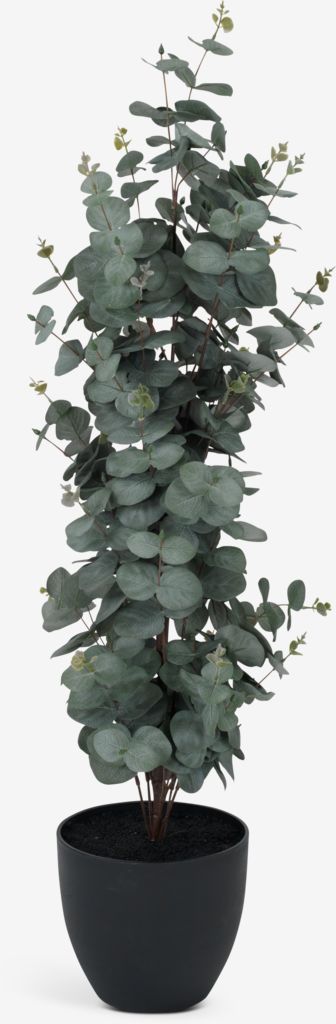 RIPA Umjetna biljka RIPA V90 cm Eukaliptus