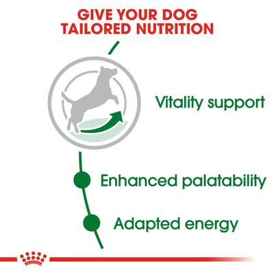 Royal Canin Mini Adult 8+