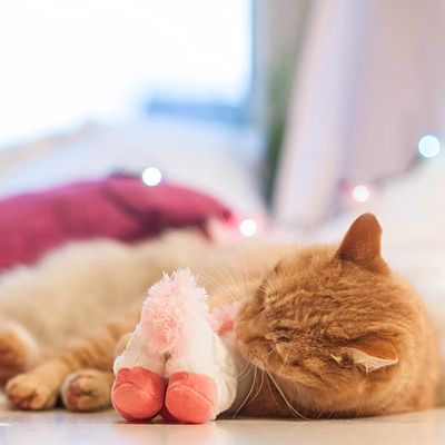 Aumüller Einhornkissen Katzenspielzeug