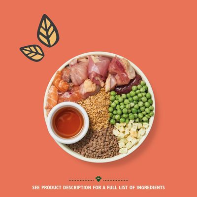 Lily's Kitchen Puppy Sucha karma dla szczeniąt – kurczak, łosoś i groszek