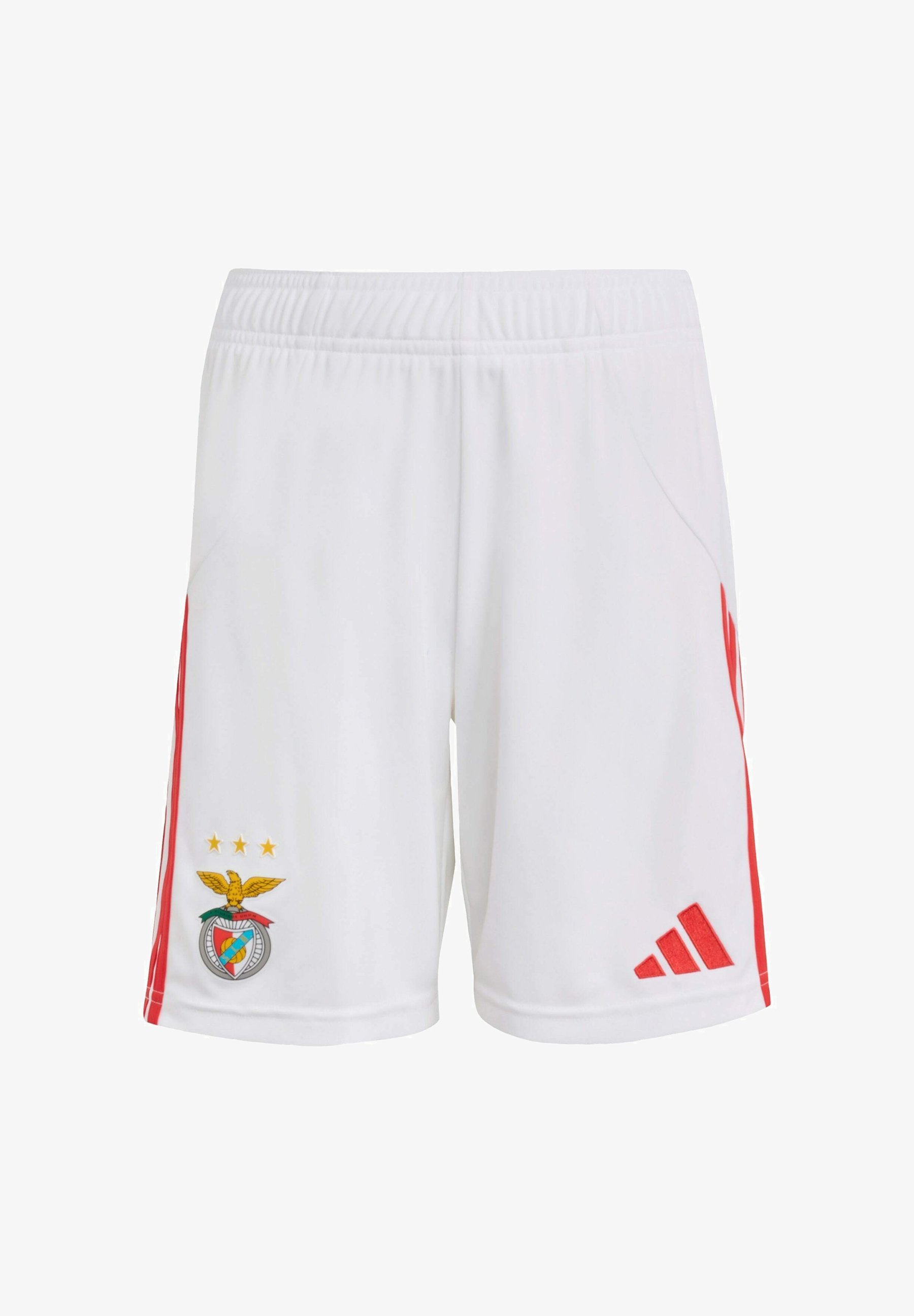 adidas Performance BENFICA - Clubkleding - wit