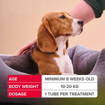 beaphar FIPROtec® COMBO Spot-On contro pulci e zecche per cani - Taglia M (10-20 kg)