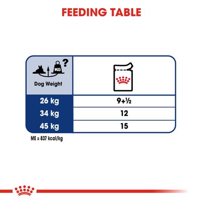 Royal Canin Maxi Ageing 8+ en salsa