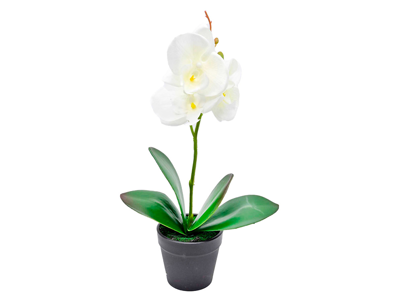 Sztuczna orchidea w doniczce 30 cm beżowa