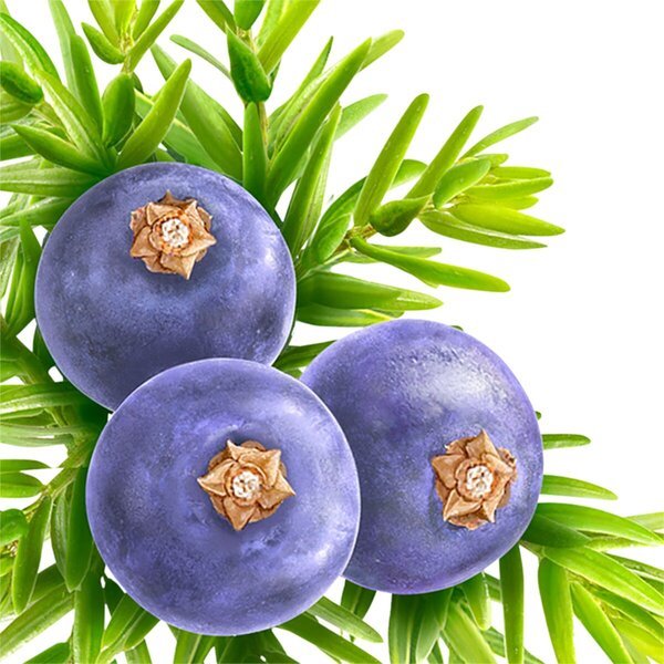 Kneippove kryštály do kúpeľa Jeneverbes na upokojenie svalov<br>600g