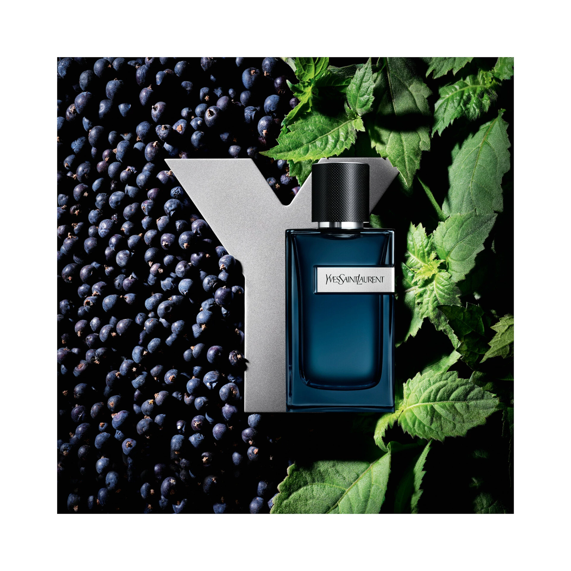 Y EdP Intense 100 ml - Yves Saint Laurent