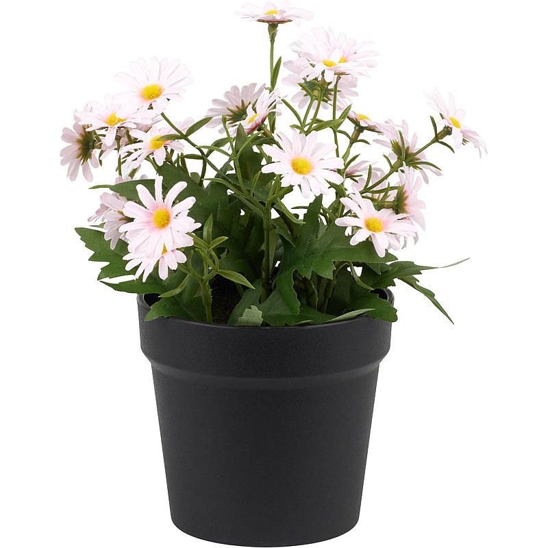 Hjem Daisy 27 cm