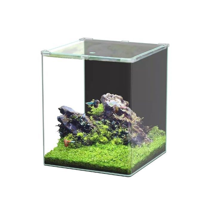 Kubus Curve 65l Basic Fish Aquarium - Aquatlantis