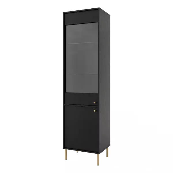 Witryna szklana do salonu Sakai 2 2F T101 Czarny