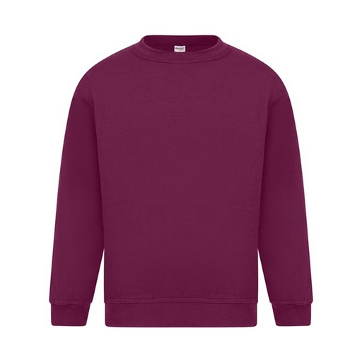  Pulover s kapuco Absolute Apparel Sterling