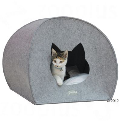 Big Cat Den Felti