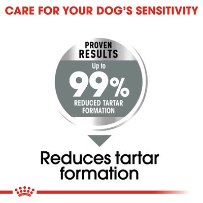 Royal Canin Care Nutrition střední dentální hygiena