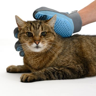 Gant de toilettage