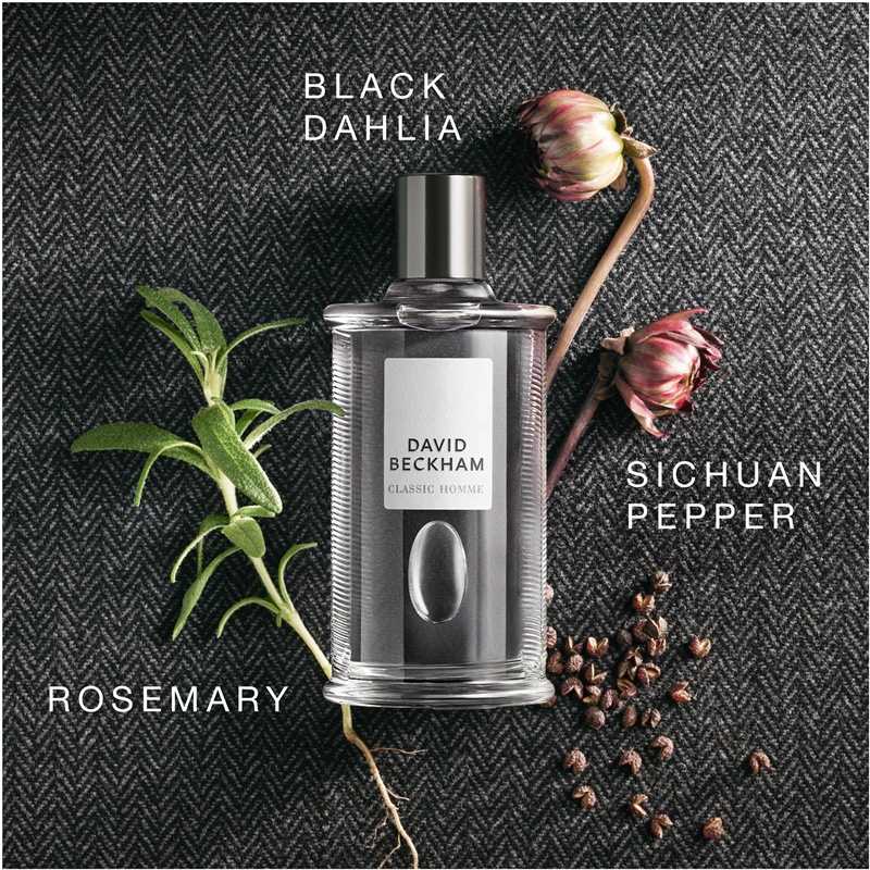 David Beckham Classic Homme tualetinis vanduo vyrams