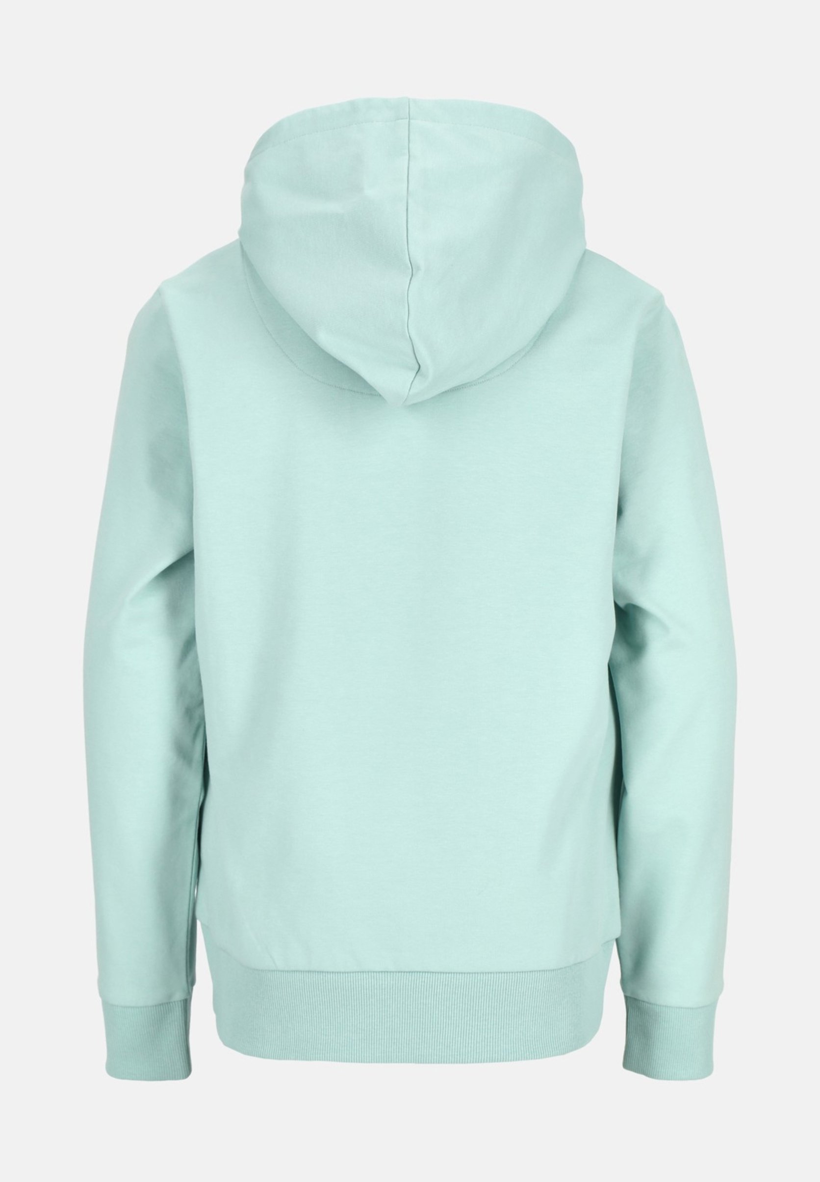 Denim Factory SAN DIEGO - Hoodie - saliegroen watermeloen