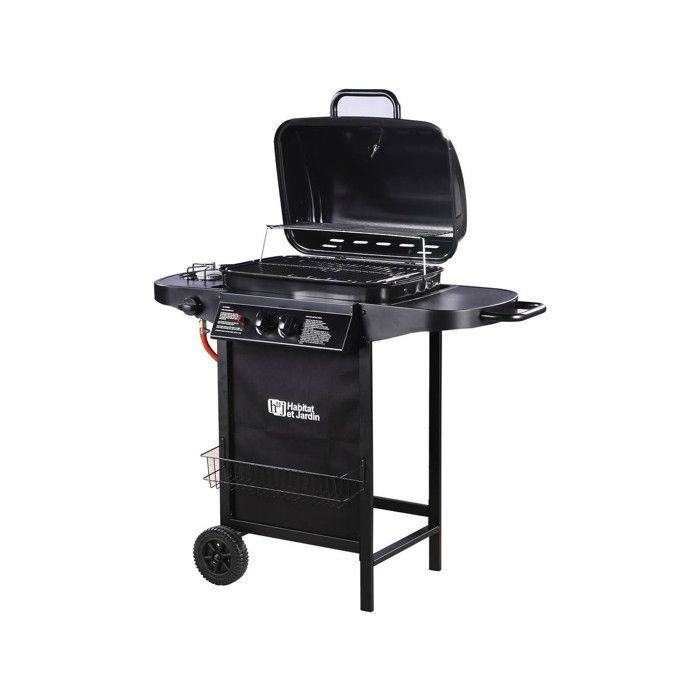 Barbecue gaz 