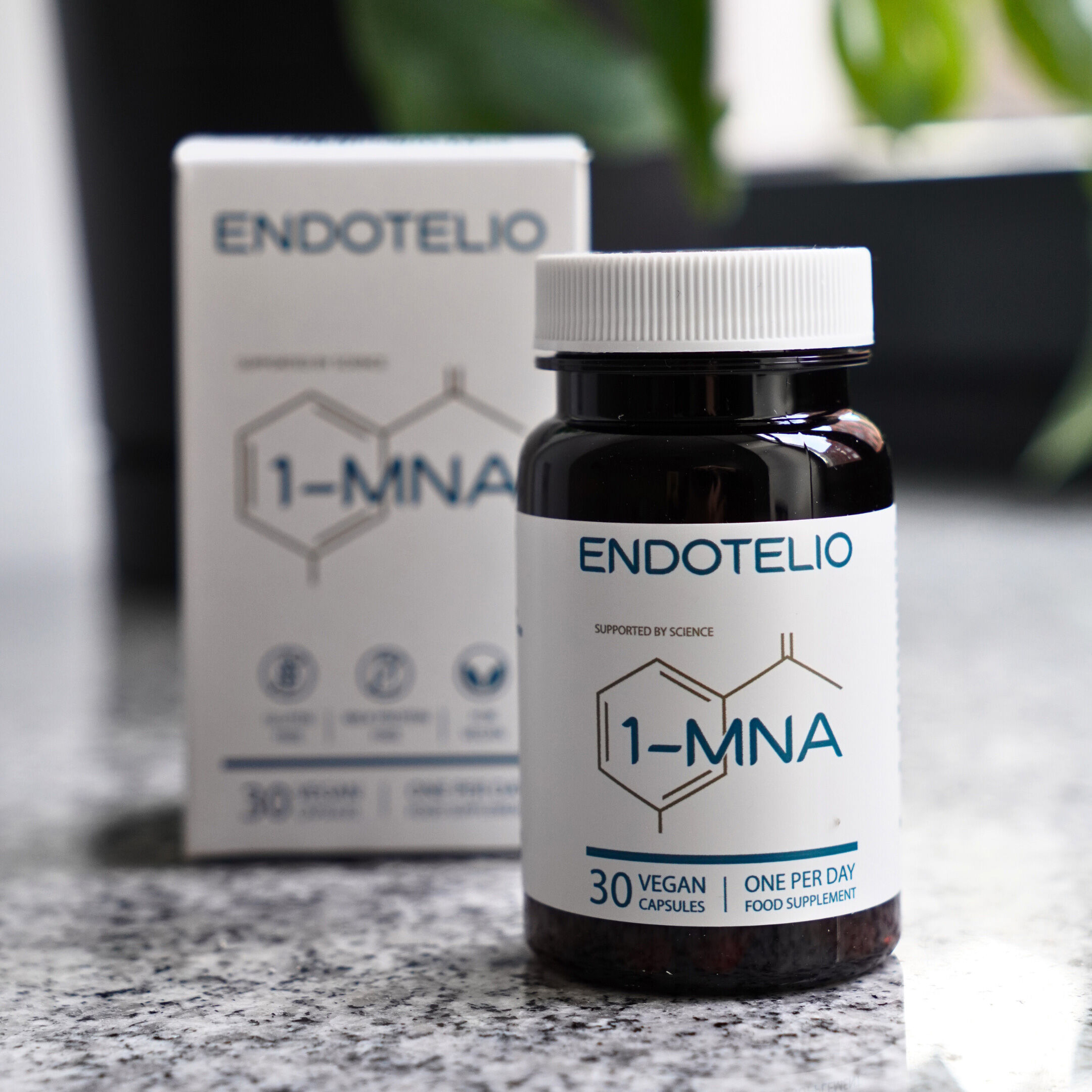 Endothélial
